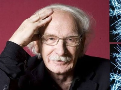 El poder de la&nbsp;observación