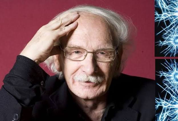 El poder de la&nbsp;observación